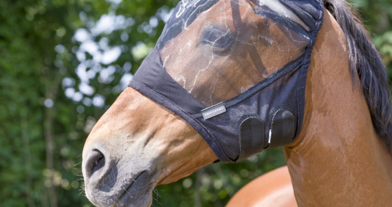 Εντομοαπωθητικά | HENRY equestrian