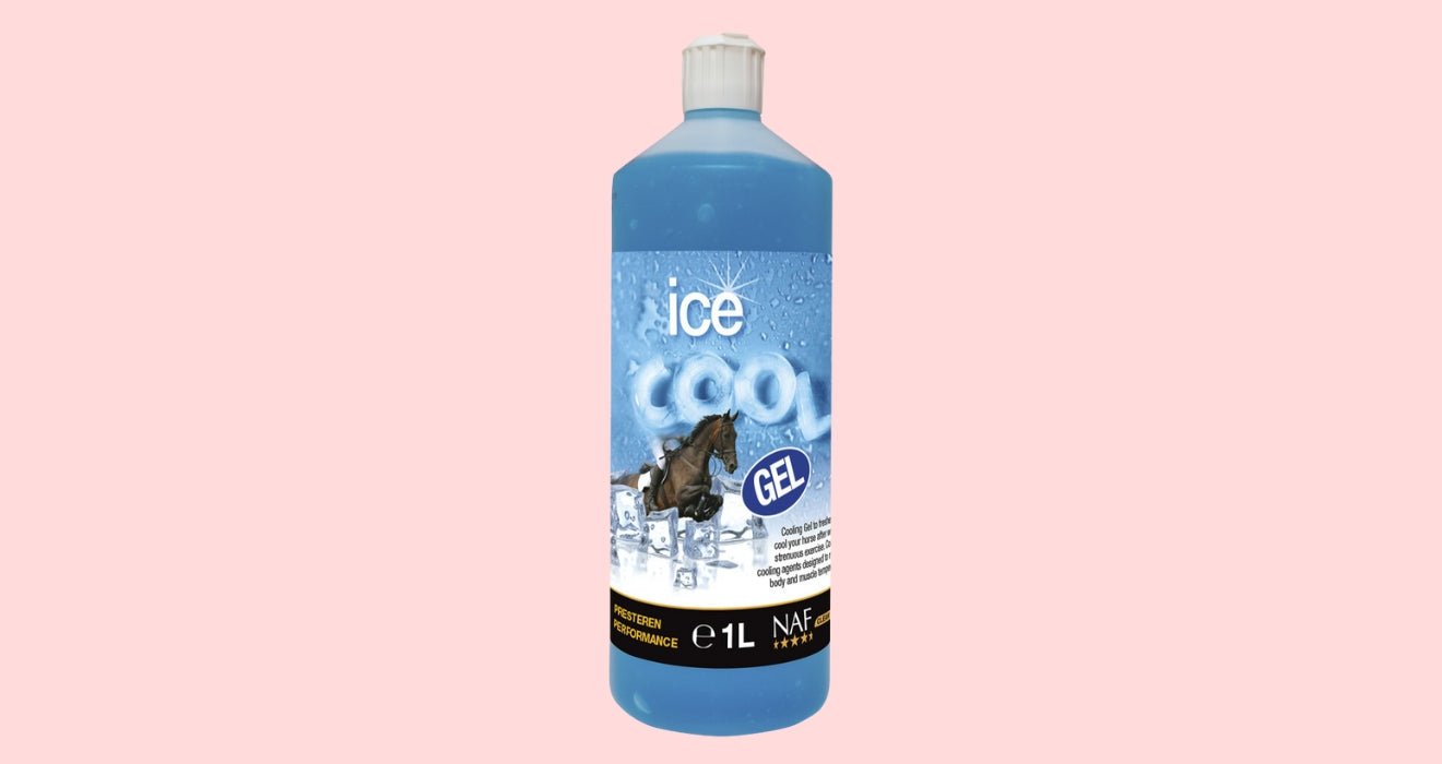 NAF - HENRY equestrian