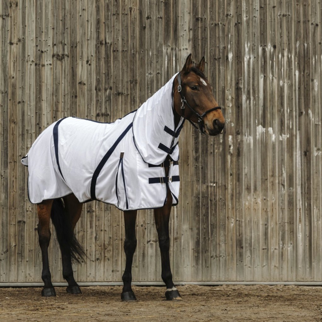 HENRY equestrian - Equitheme - Κουβέρτα για μύγες mesh Combo λευκό
