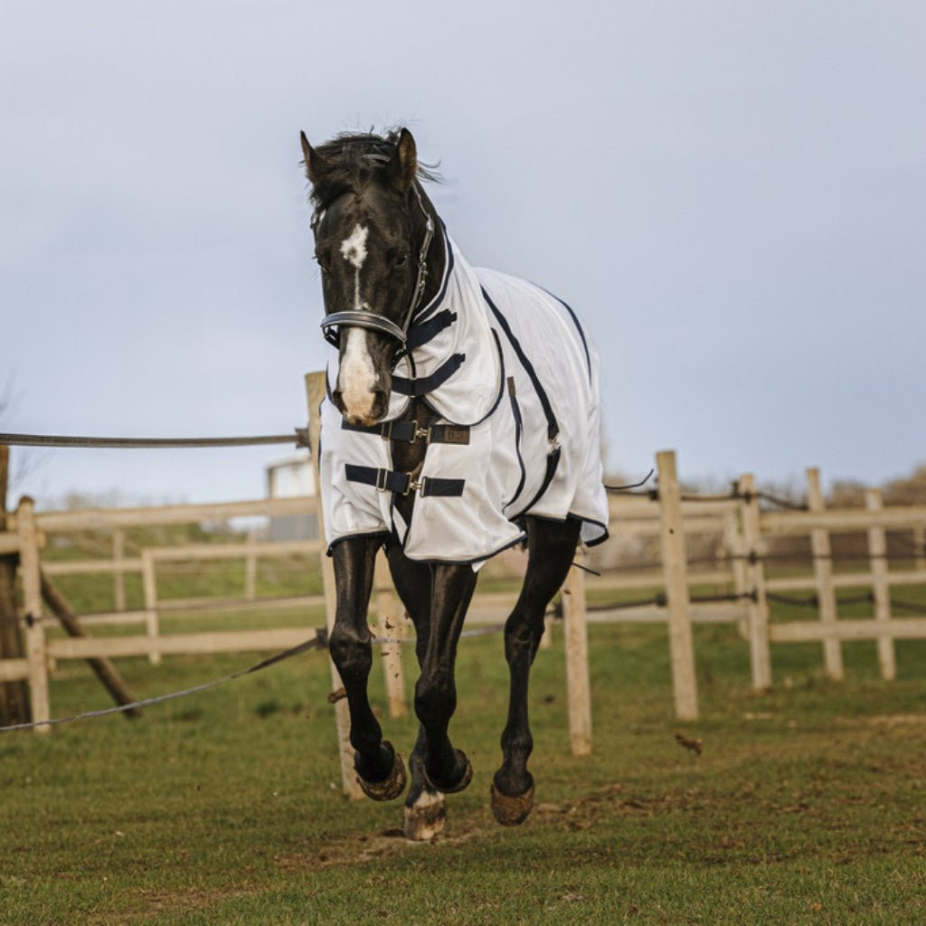 HENRY equestrian - Equitheme - Κουβέρτα για μύγες mesh Combo λευκό