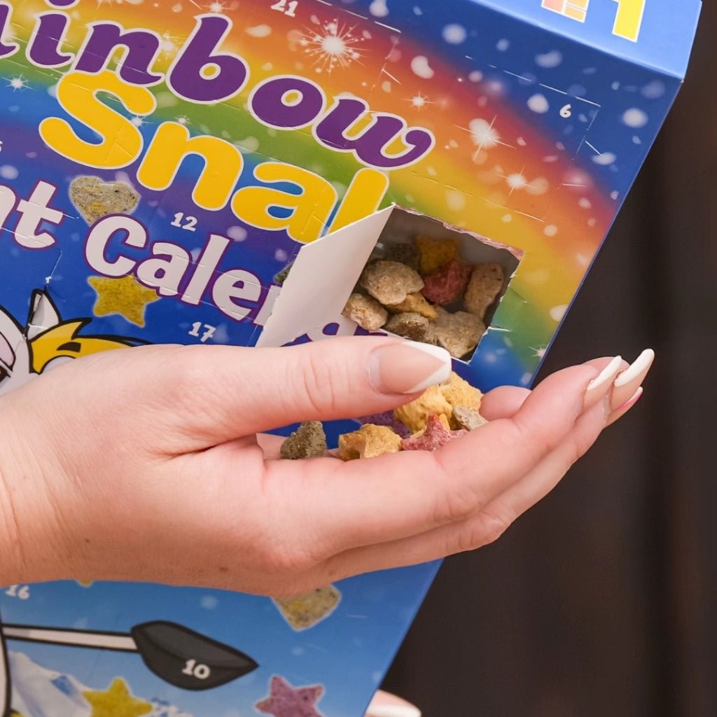 HENRY equestrian - Likit - Advent Calendar - Rainbow Lightened