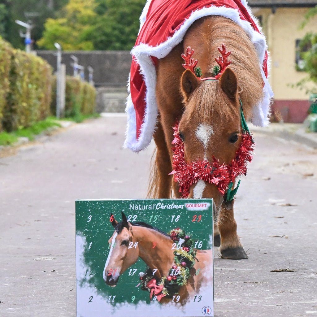 HENRY equestrian - Natural'Innov - Natural'Christmas - Ημερολόγιο των Χριστουγέννων