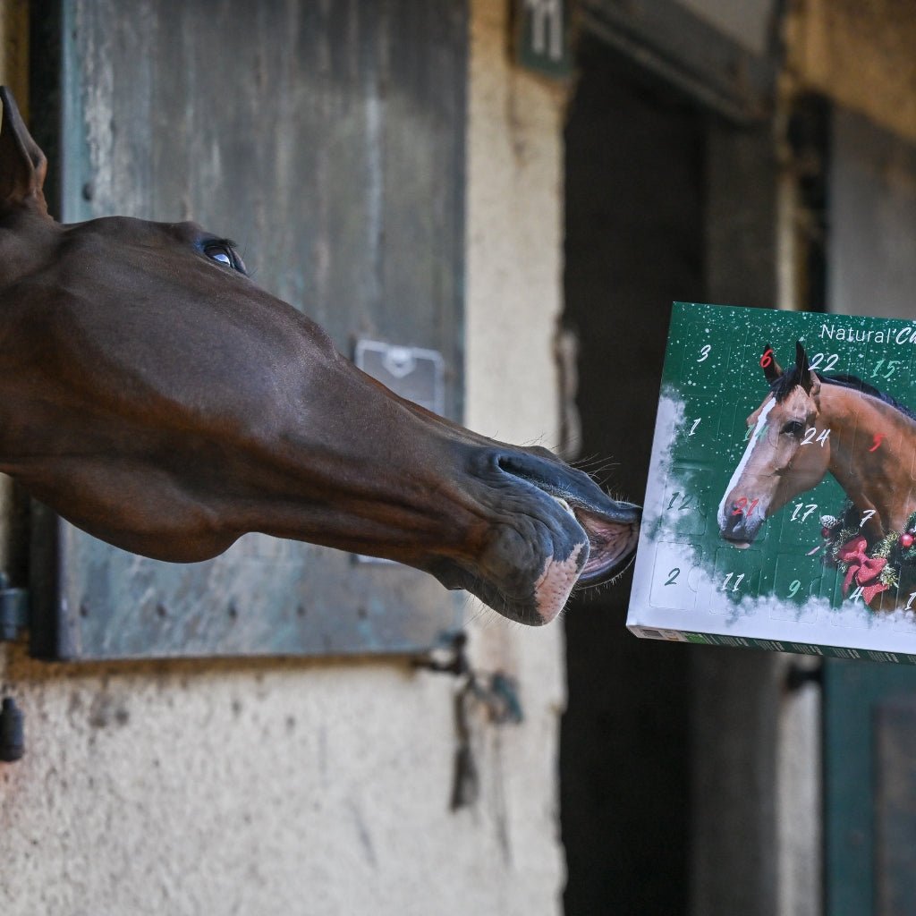 HENRY equestrian - Natural'Innov - Natural'Christmas - Ημερολόγιο των Χριστουγέννων