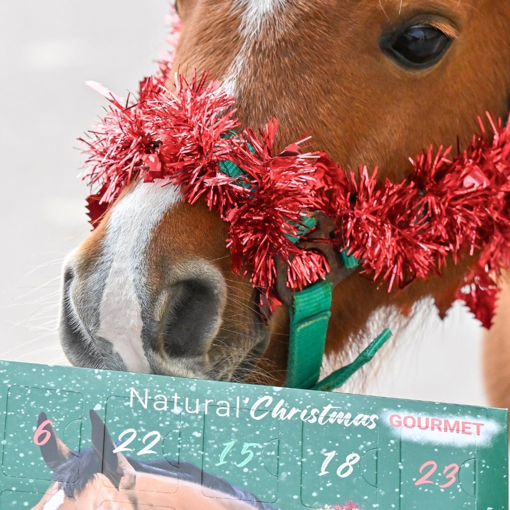 HENRY equestrian - Natural'Innov - Natural'Christmas - Ημερολόγιο των Χριστουγέννων