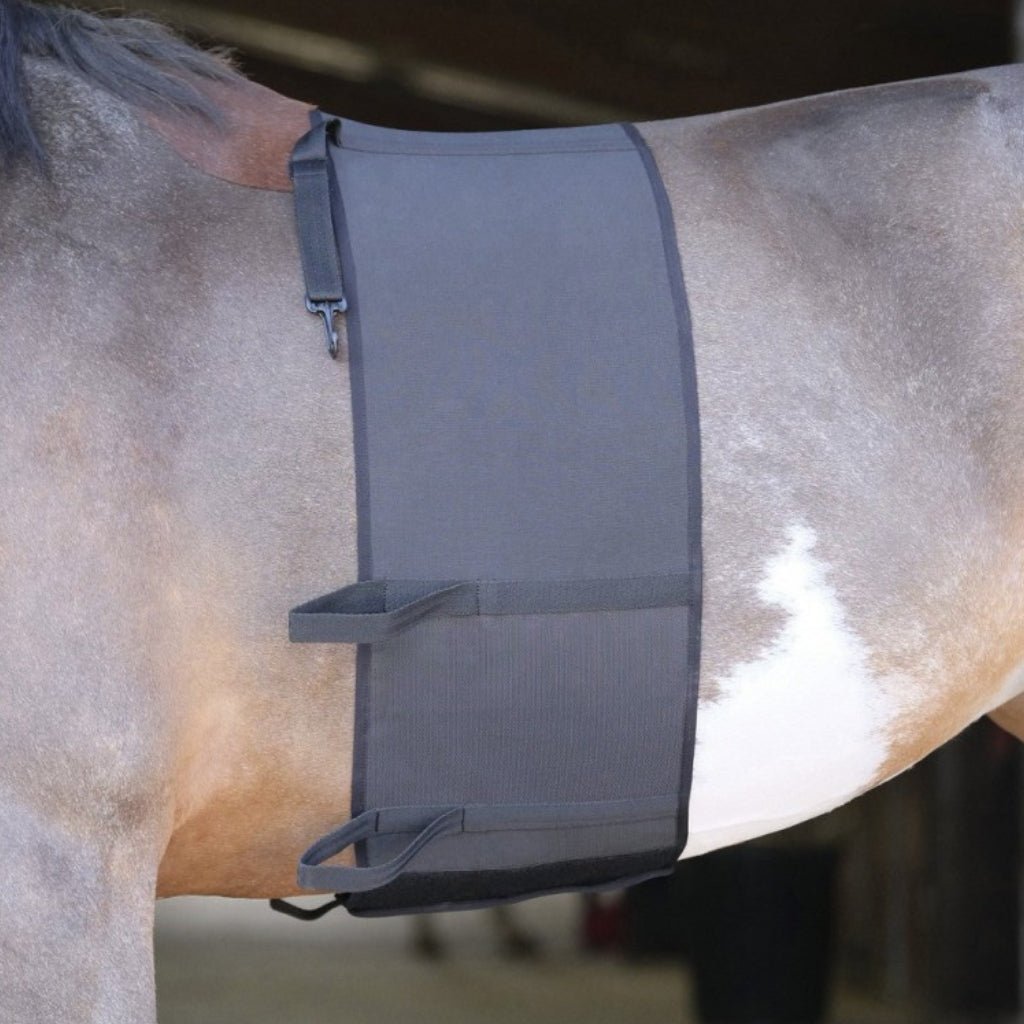 HENRY equestrian - Norton - Προστατευτική ζώνη σπιρουνιού μαύρο