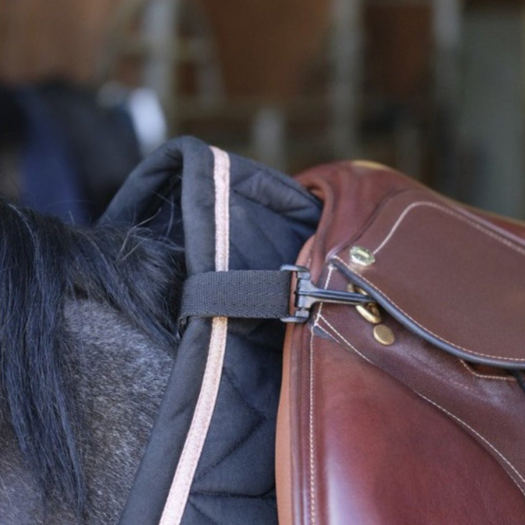 HENRY equestrian - Norton - Προστατευτική ζώνη σπιρουνιού μαύρο