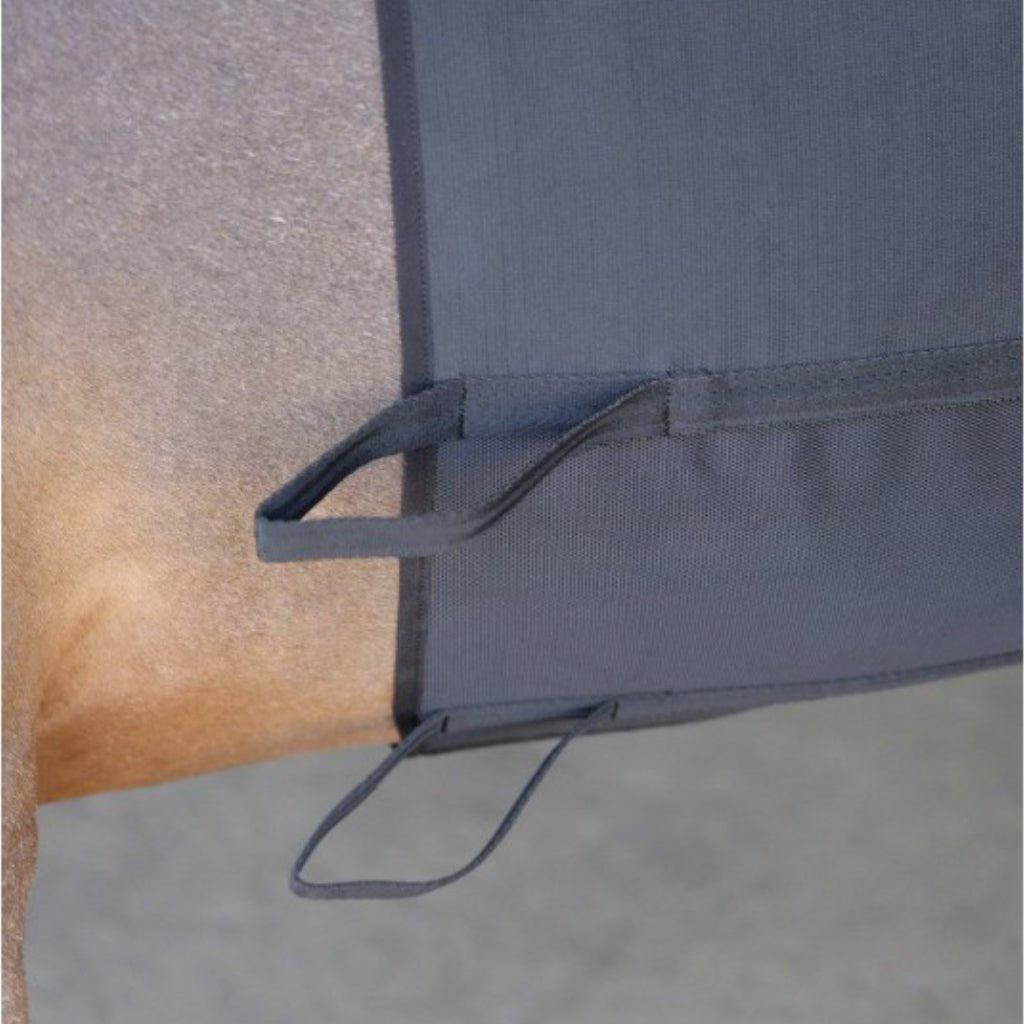HENRY equestrian - Norton - Προστατευτική ζώνη σπιρουνιού μαύρο