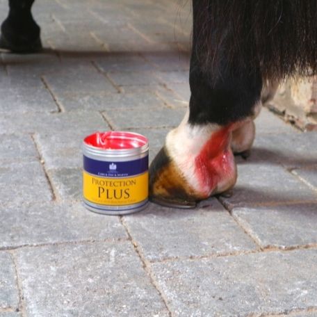 HENRY equestrian - Carr & Day & Martin - Προστατευτική κρέμα protection plus 500 ml