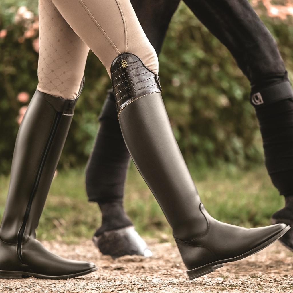 HENRY equestrian - Cavallo - Insignis