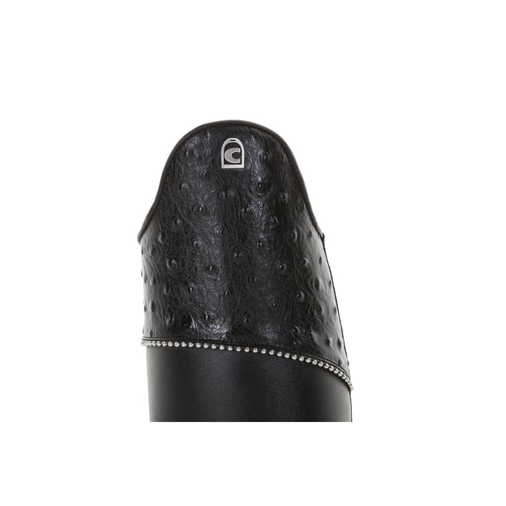 HENRY equestrian - Cavallo - Insignis