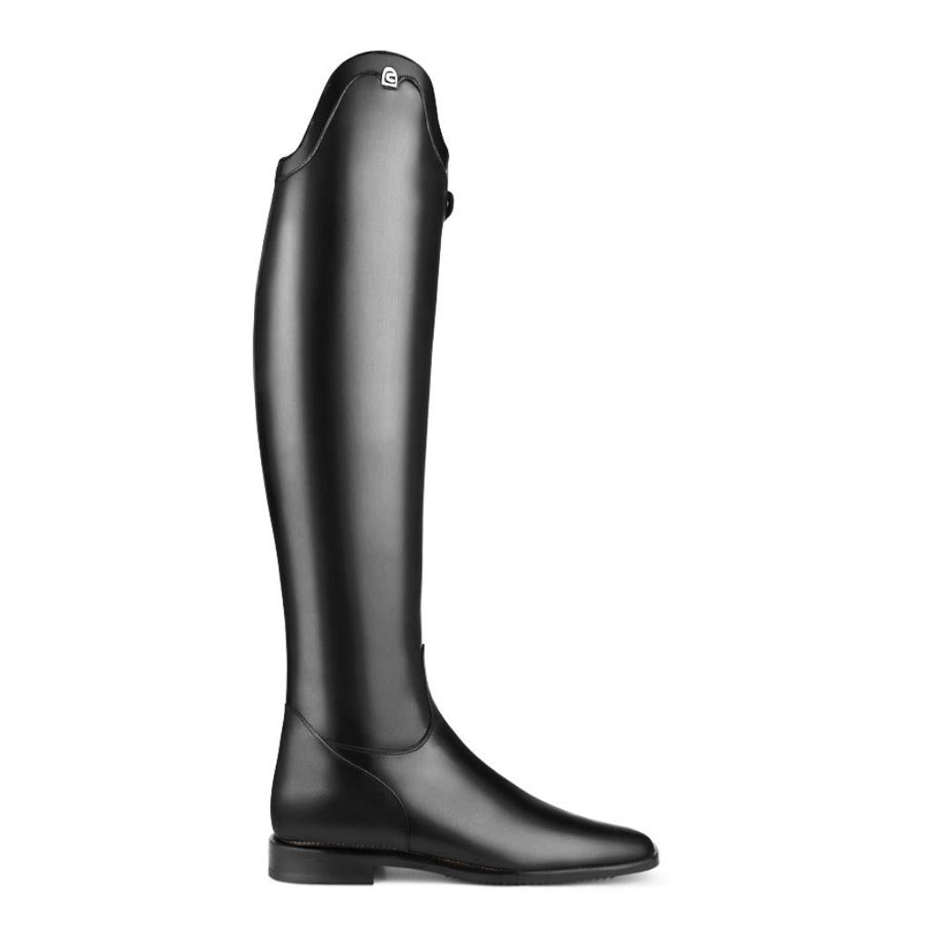 HENRY equestrian - Cavallo - Insignis