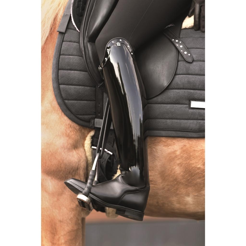 HENRY equestrian - Cavallo - Insignis