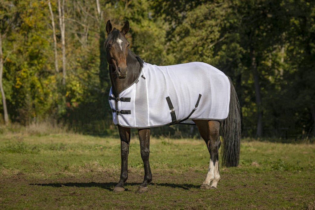 HENRY equestrian - Equitheme - Κουβέρτα για μύγες 3D mesh λευκό