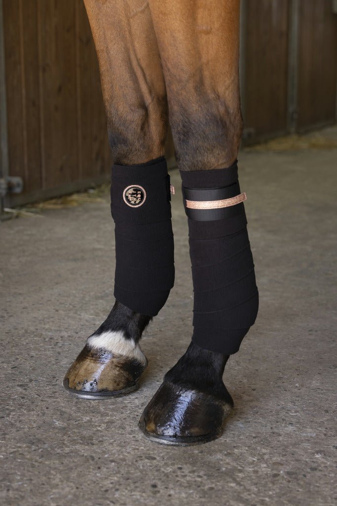 HENRY equestrian - Equitheme - Μπαντάζ εργασίας Skolstart μαύρο