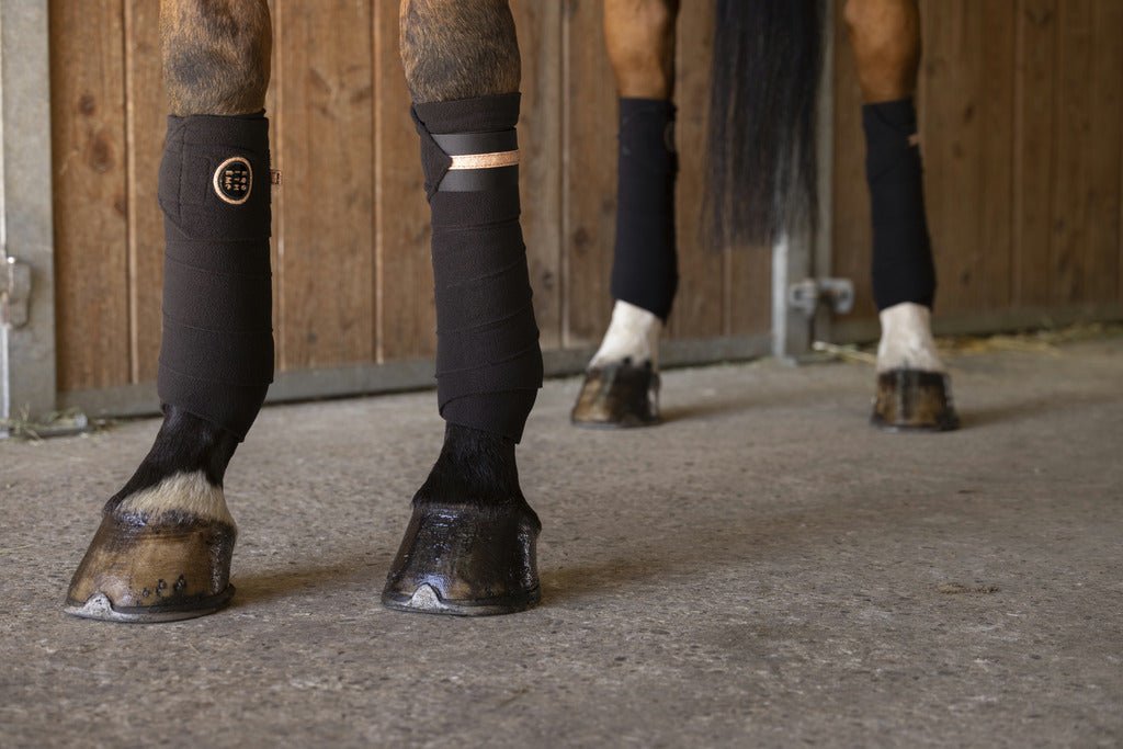 HENRY equestrian - Equitheme - Μπαντάζ εργασίας Skolstart μαύρο