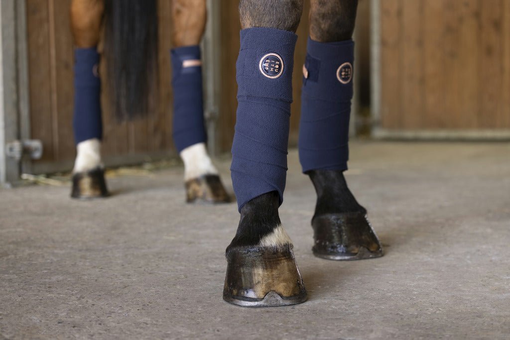 HENRY equestrian - Equitheme - Μπαντάζ εργασίας Skolstart navy