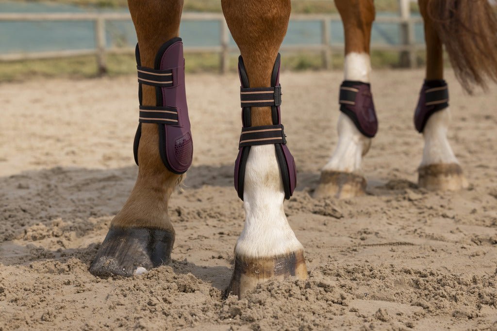 HENRY equestrian - Equitheme - Σετ γκέτες μπρος / πίσω Oslo μπορντό