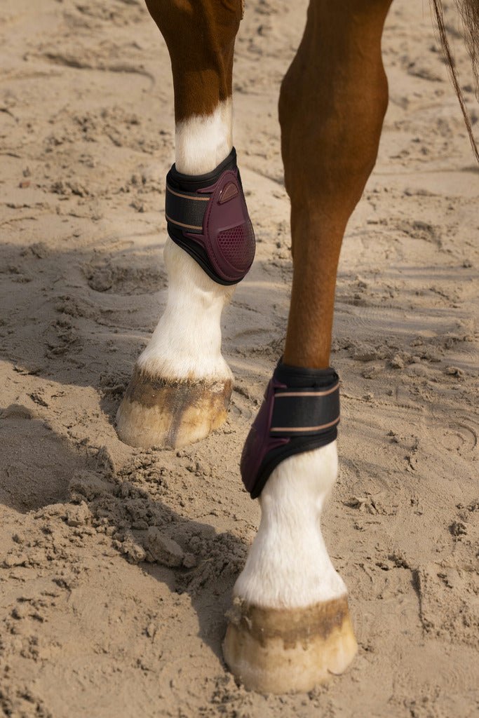 HENRY equestrian - Equitheme - Σετ γκέτες μπρος / πίσω Oslo μπορντό