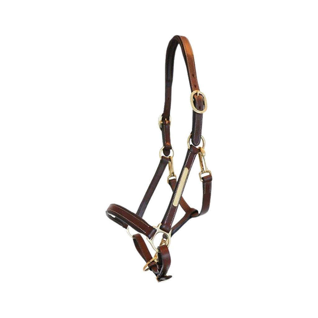 HENRY equestrian - Eric Thomas - Δερμάτινο καπίστρι Pro - Αβάνα