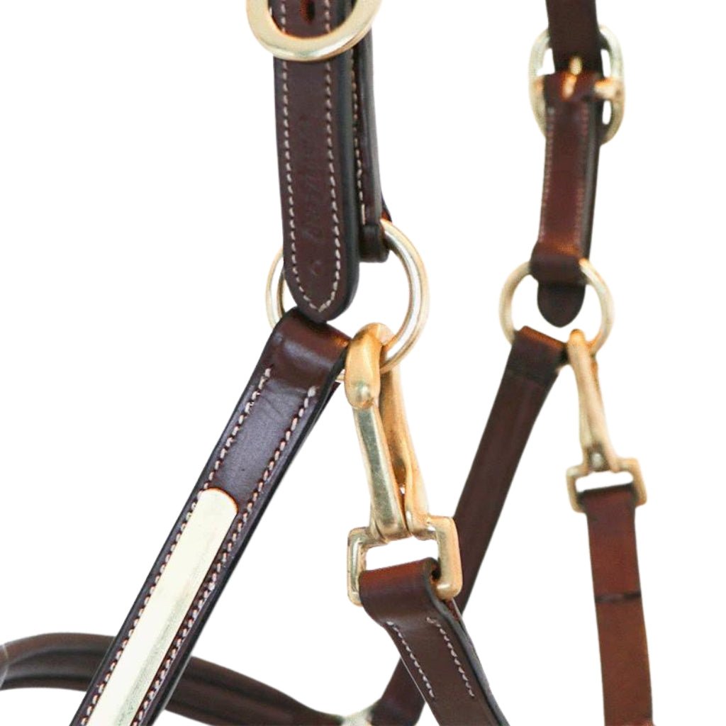 HENRY equestrian - Eric Thomas - Δερμάτινο καπίστρι Pro - Αβάνα