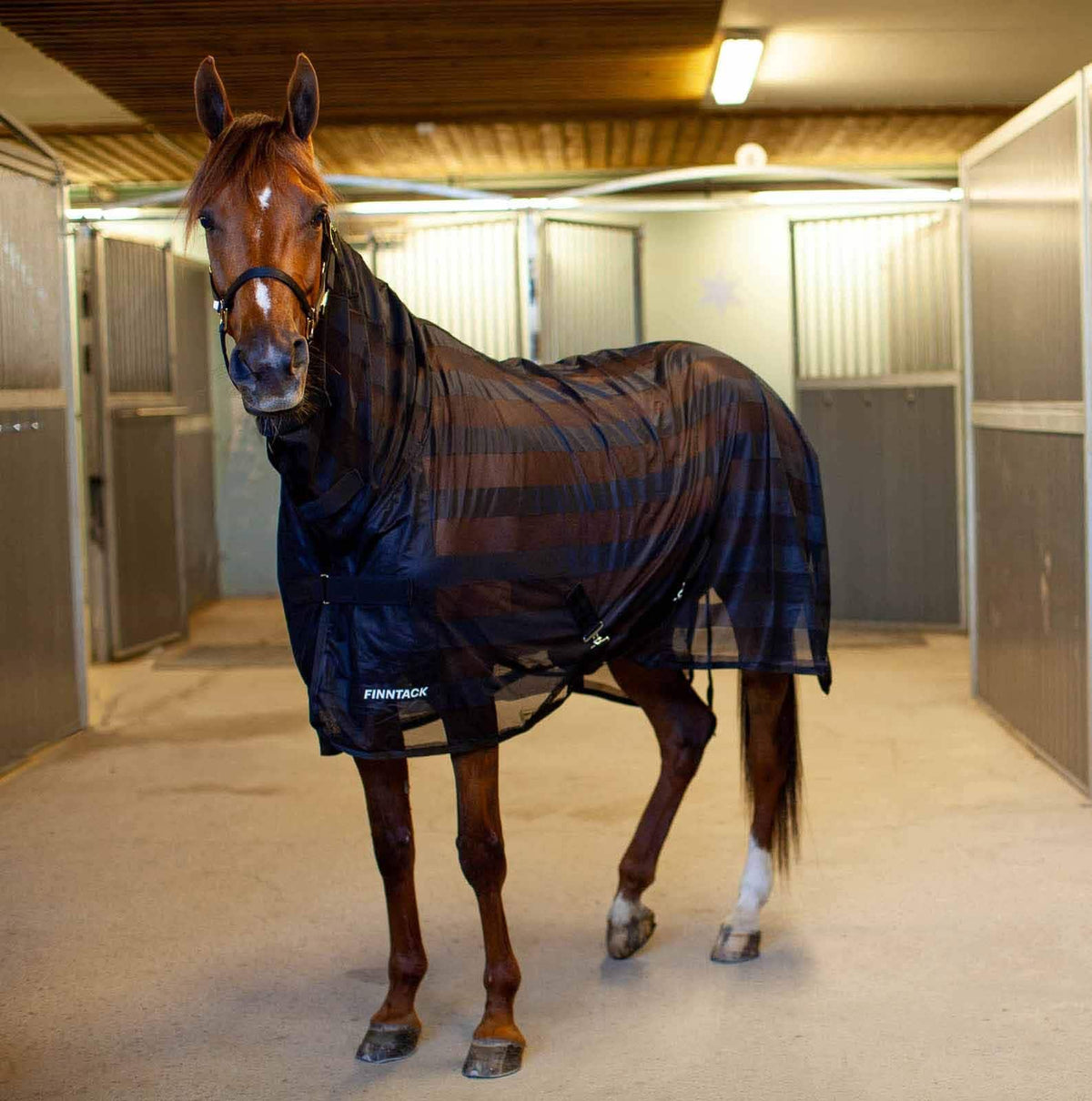 HENRY equestrian - Finntack - Κουβέρτα δροσιάς & για μύγες με πλέγμα ψηλού λαιμού navy