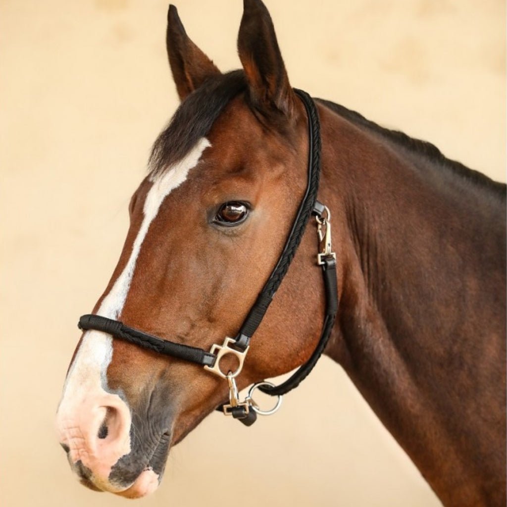 HENRY equestrian - Harcour - Καπίστρι Hups black