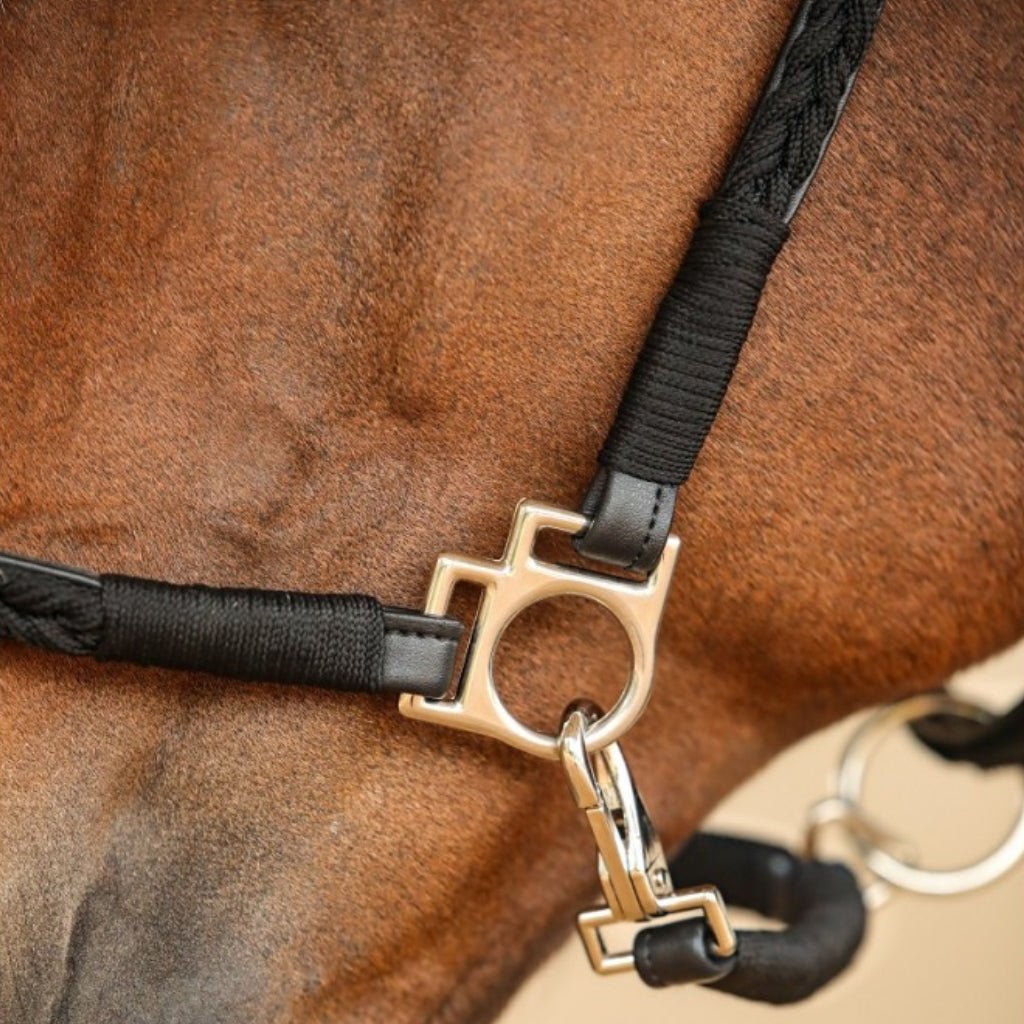 HENRY equestrian - Harcour - Καπίστρι Hups black