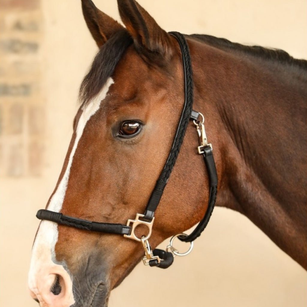 HENRY equestrian - Harcour - Καπίστρι Hups black