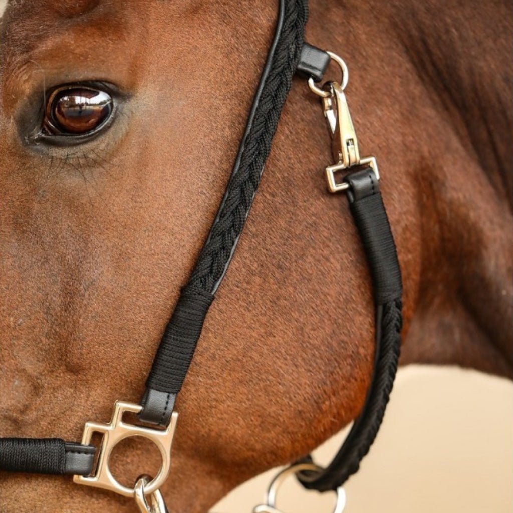 HENRY equestrian - Harcour - Καπίστρι Hups black
