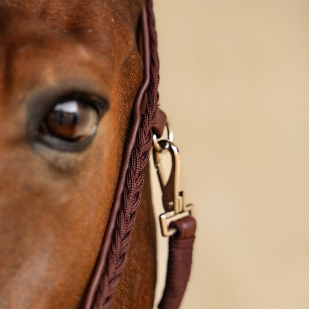 HENRY equestrian - Harcour - Καπίστρι Hups brown