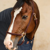 HENRY equestrian - Harcour - Καπίστρι Hups brown