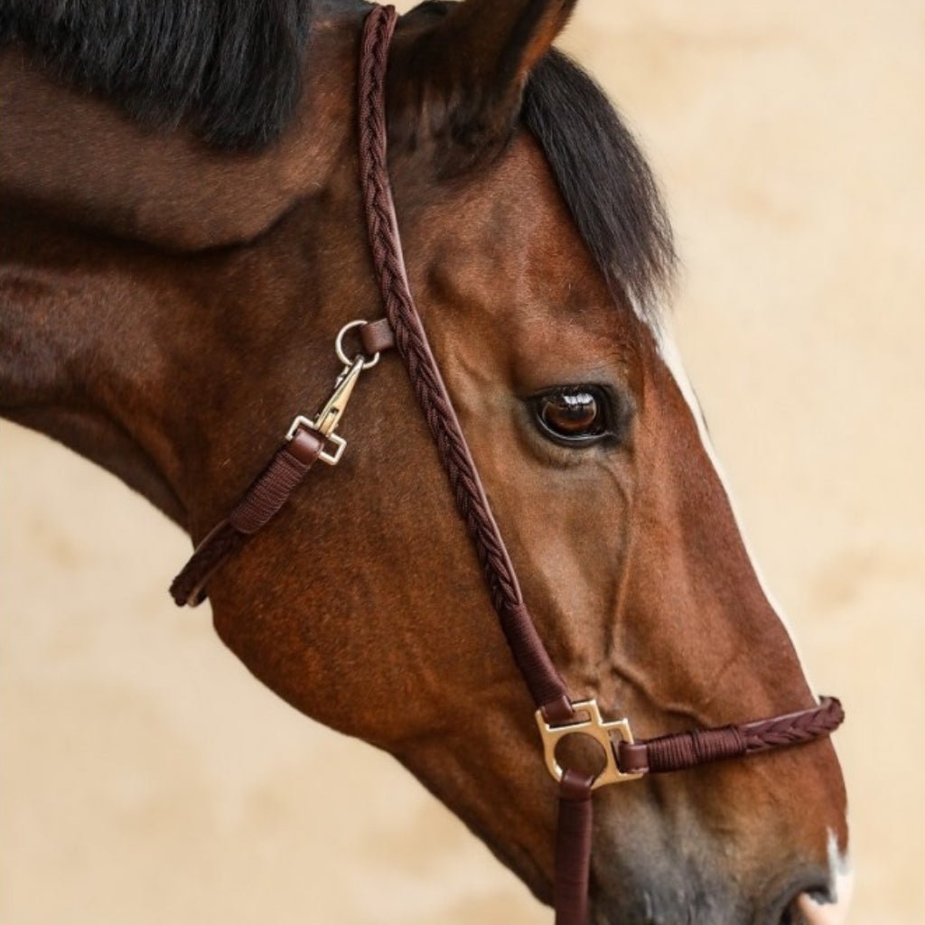 HENRY equestrian - Harcour - Καπίστρι Hups brown