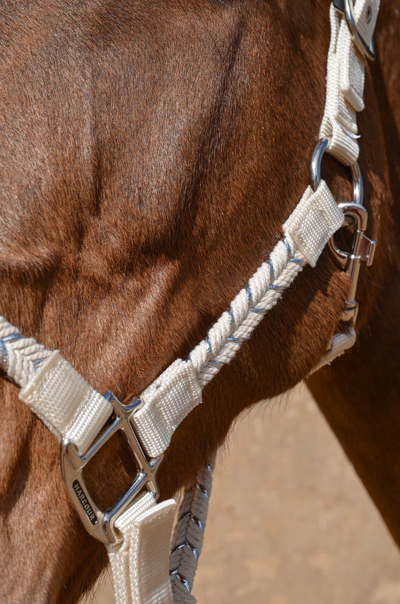 HENRY equestrian - Harcour - Καπίστρι με σχοινί Hacker μπεζ