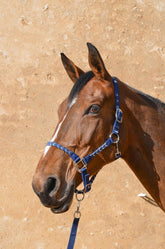 HENRY equestrian - Harcour - Καπίστρι με σχοινί Hacker navy