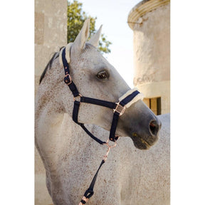 HENRY equestrian - Harcour - Καπίστρι με σχοινί Holly - navy