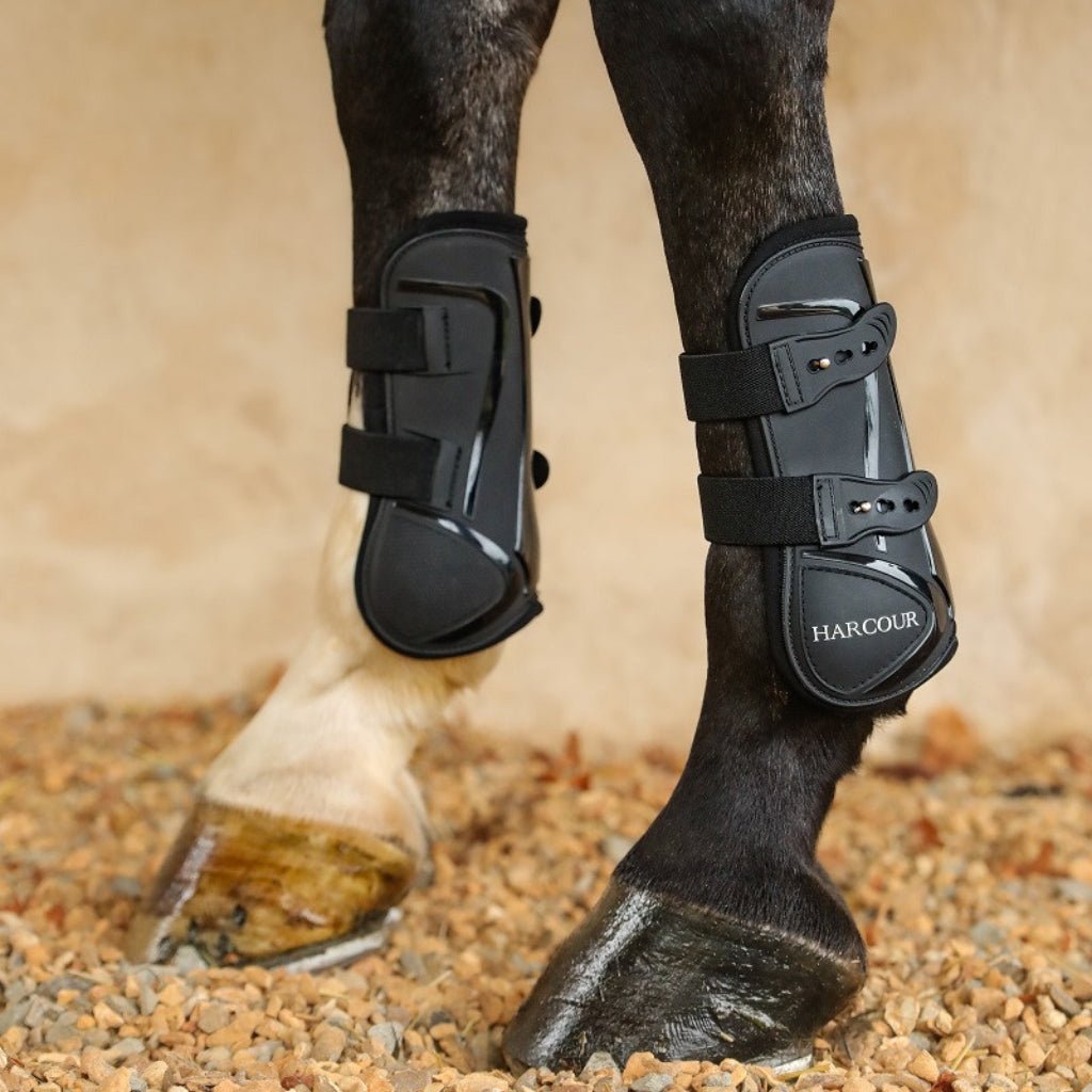 HENRY equestrian - Harcour - Μπροστινές γκέτες Paddi - Black