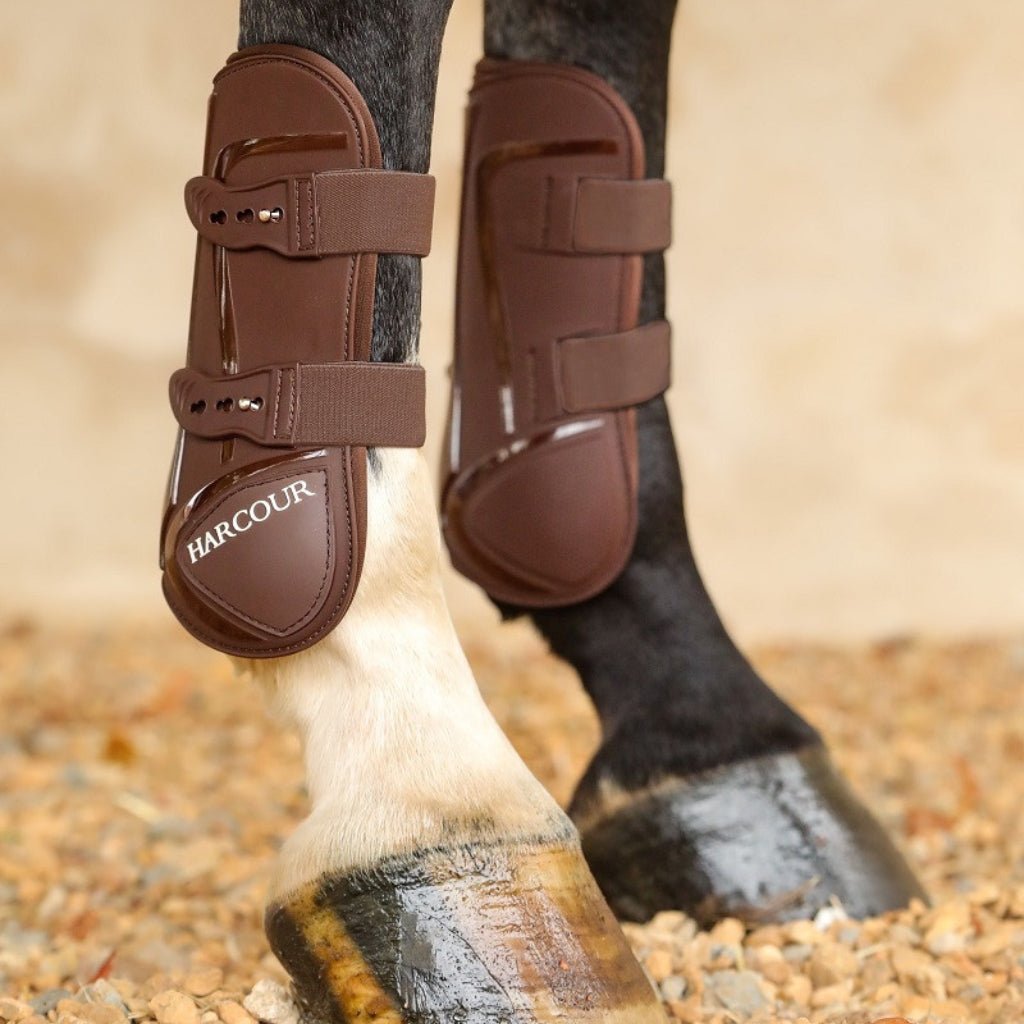 HENRY equestrian - Harcour - Μπροστινές γκέτες Paddi - Brown