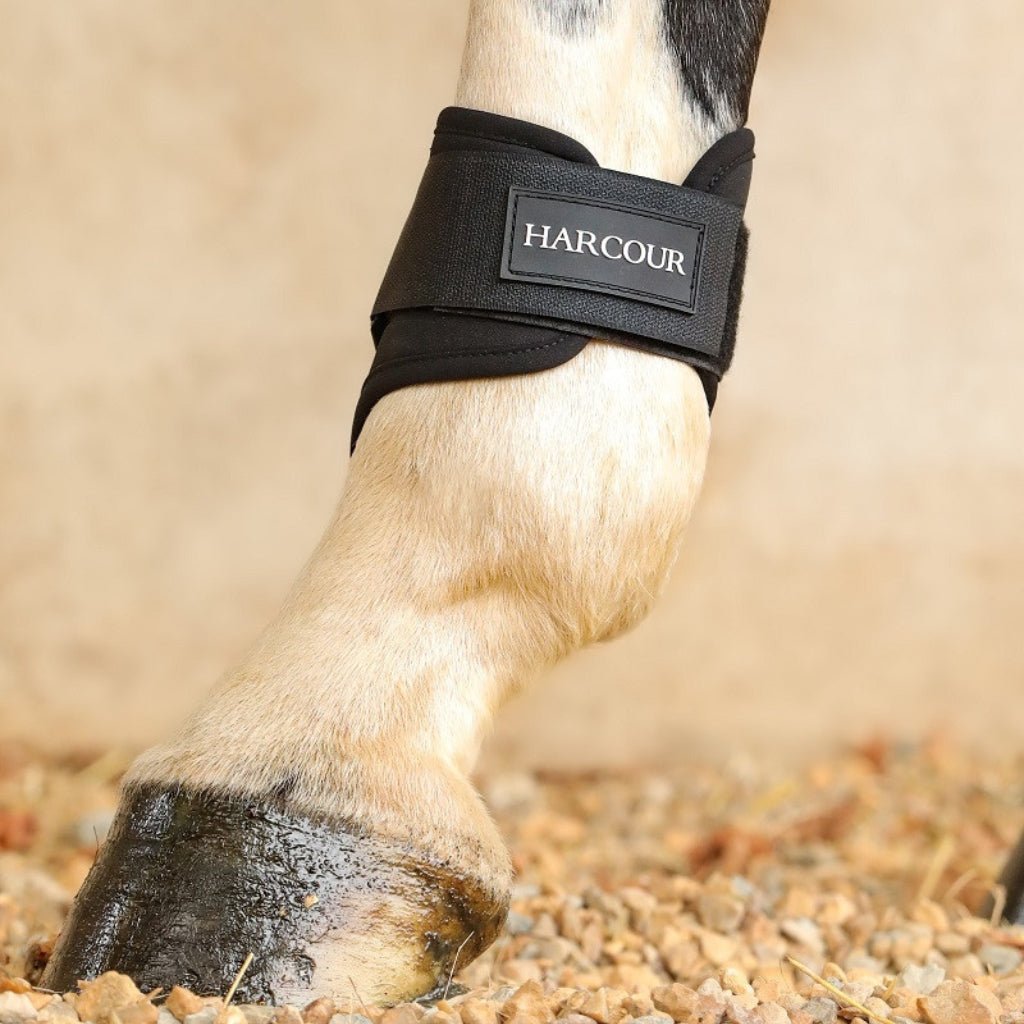HENRY equestrian - Harcour - Πίσω γκέτες Maddi - Black