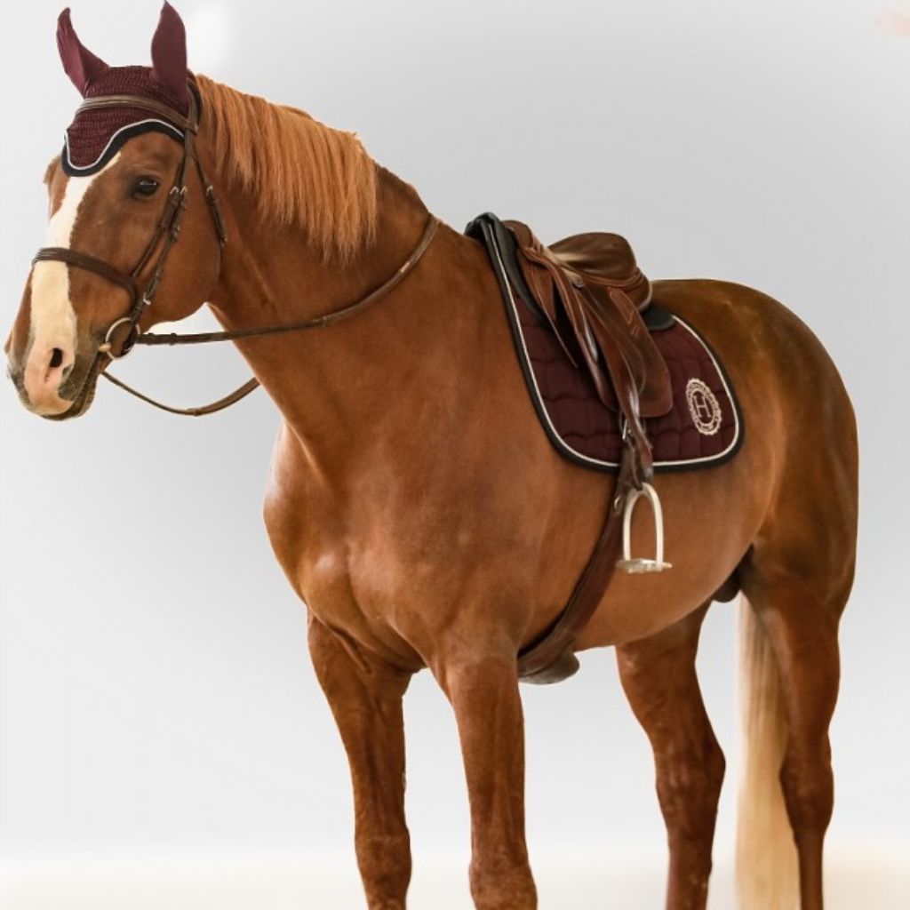 HENRY equestrian - Harcour - Σετ υπόσαγμα Soly και σκουφάκι Foly Violine