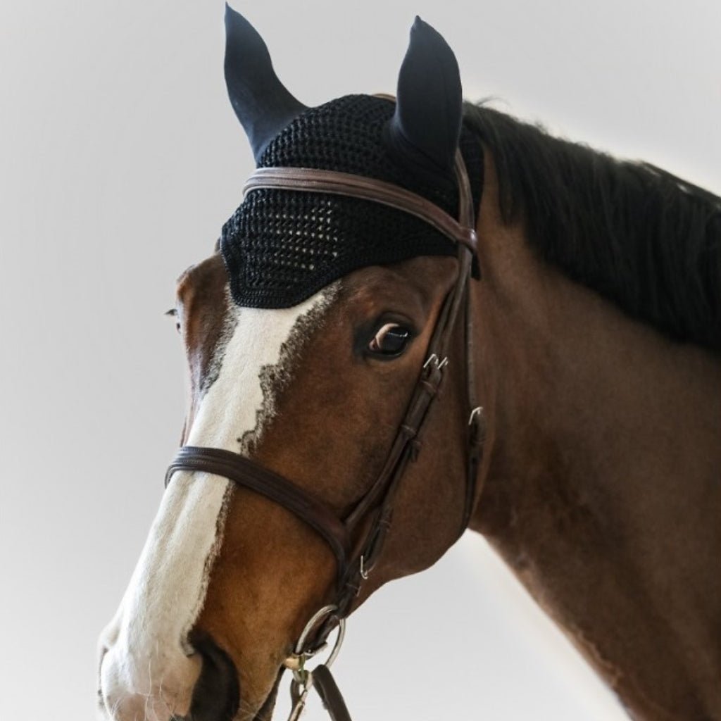HENRY equestrian - Harcour - Σκουφάκι Rubis - black