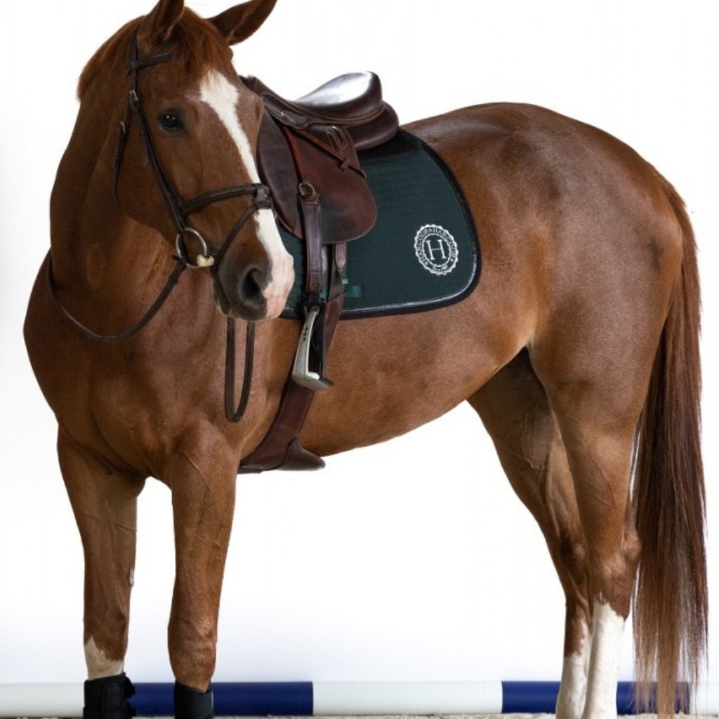 HENRY equestrian - Harcour - Υπόσαγμα jumping Karembar Jungle