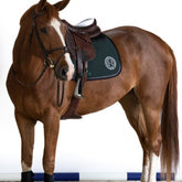 HENRY equestrian - Harcour - Υπόσαγμα jumping Karembar Jungle