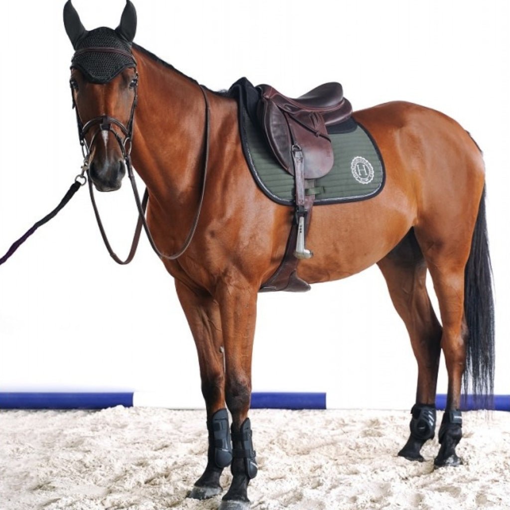 HENRY equestrian - Harcour - Υπόσαγμα jumping Karembar Khaki