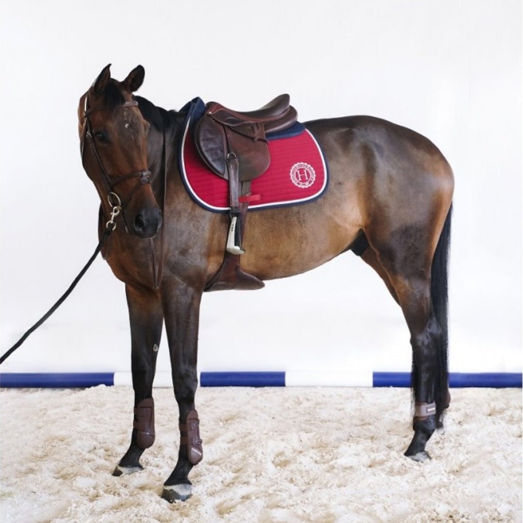 HENRY equestrian - Harcour - Υπόσαγμα jumping Karembar Rubis