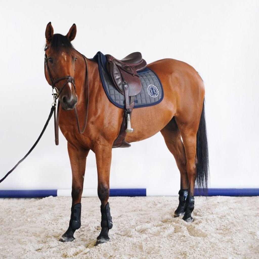 HENRY equestrian - Harcour - Υπόσαγμα jumping Safine Grey