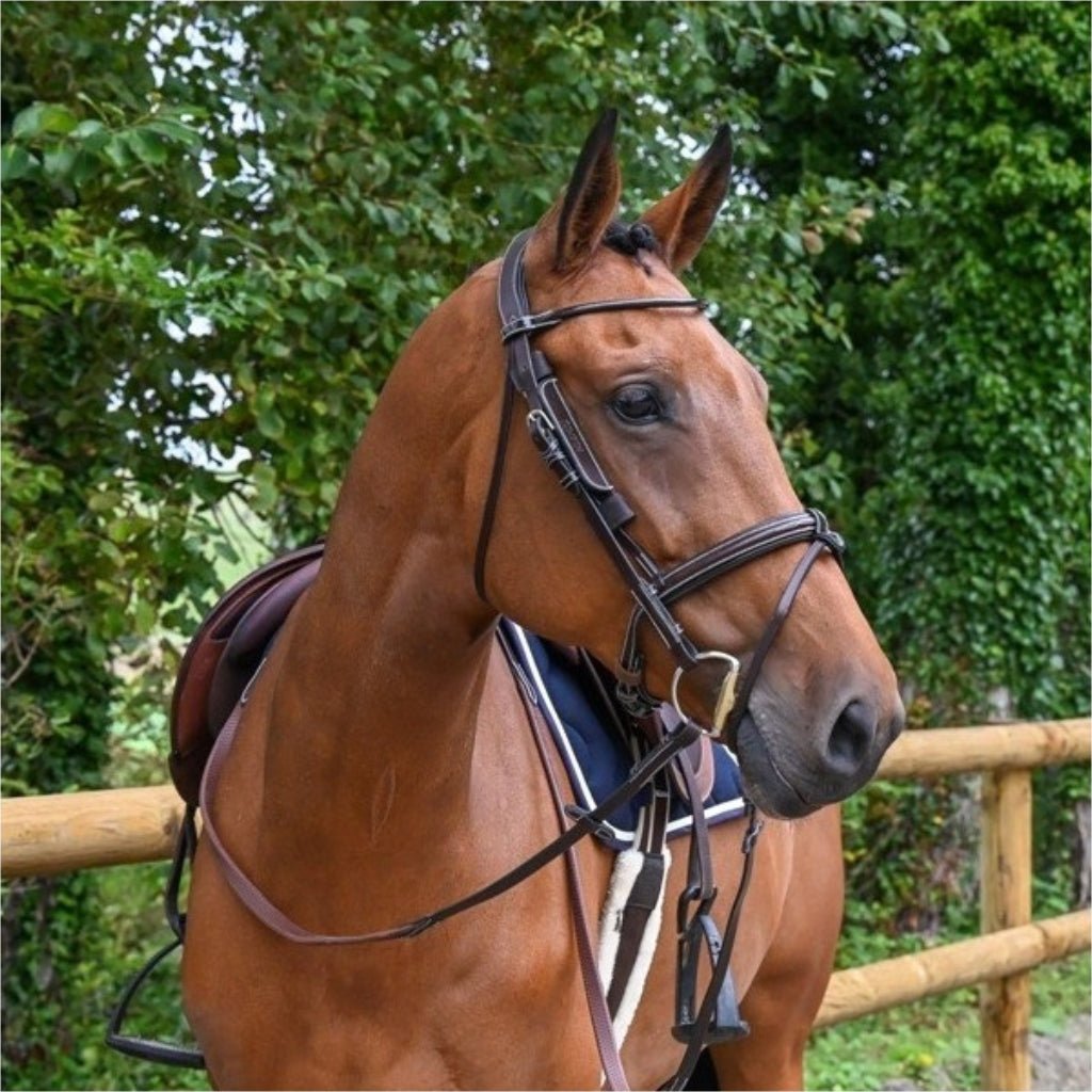 HENRY equestrian - Jump’In - Blinker one καφέ