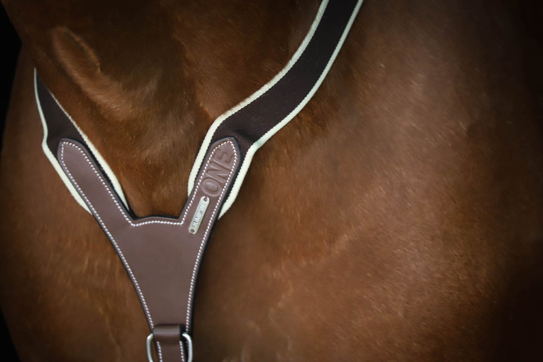 HENRY equestrian - Jump'In - Ελαστικό προστερνίδιο + μαρτινγκάλα One μαύρο
