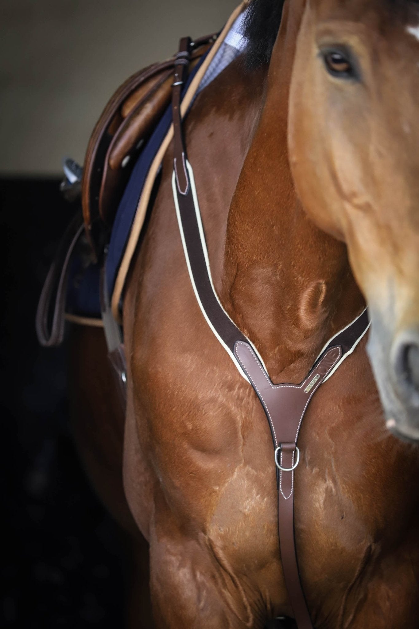 HENRY equestrian - Jump'In - Ελαστικό προστερνίδιο + μαρτινγκάλα One μαύρο