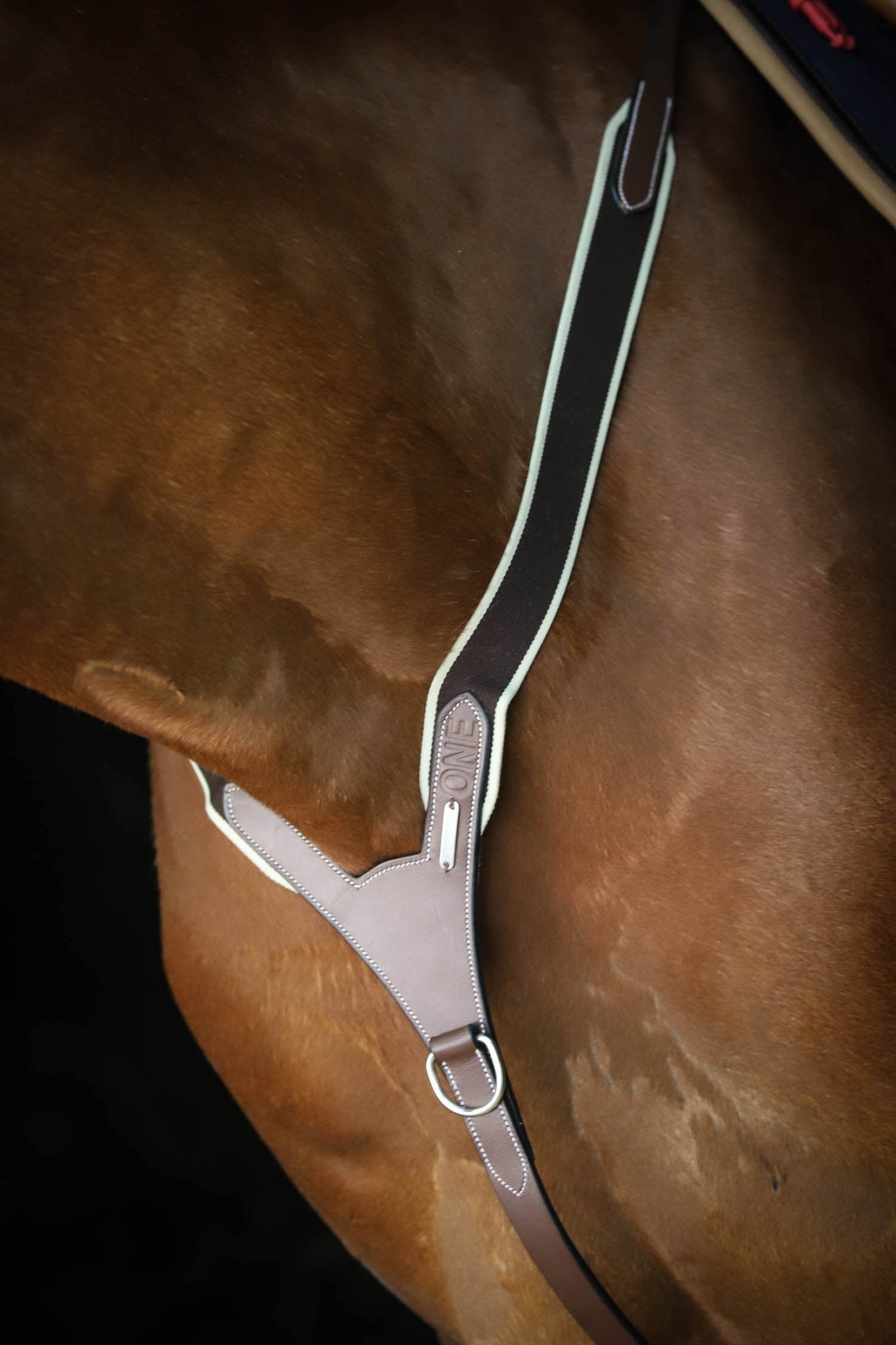 HENRY equestrian - Jump'In - Ελαστικό προστερνίδιο + μαρτινγκάλα One μαύρο