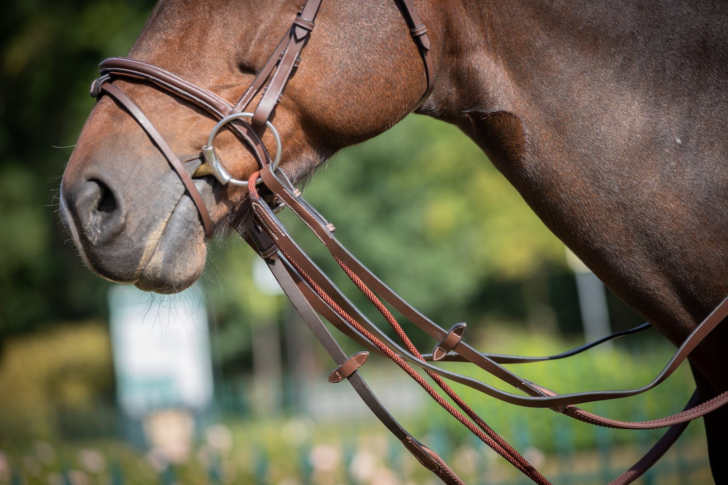 HENRY equestrian - Jump'In - Γερμανικά ηνία One - μαύρο